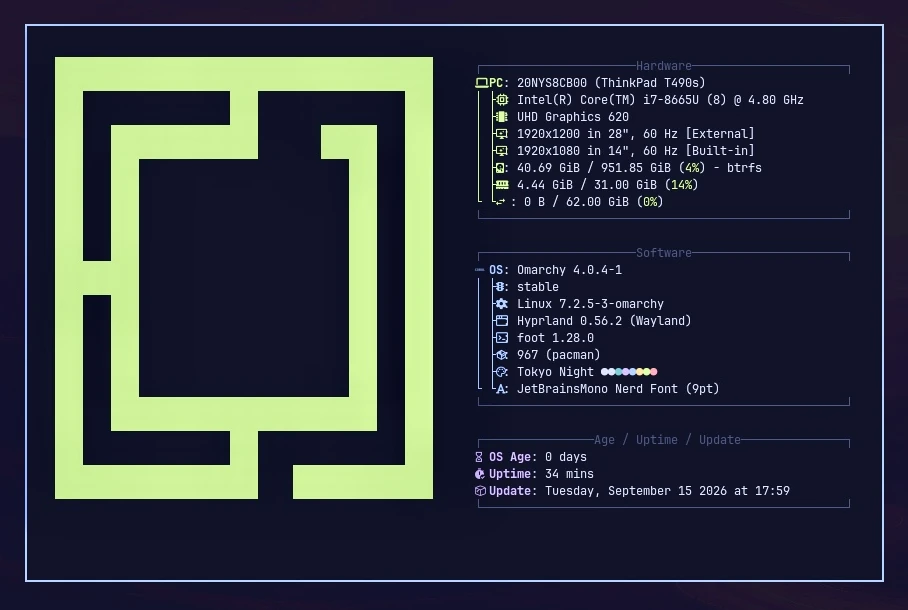 Omarchy system information on a ThinkPad T490s showing Linux, Hyprland, hardware, displays, memory, and storage